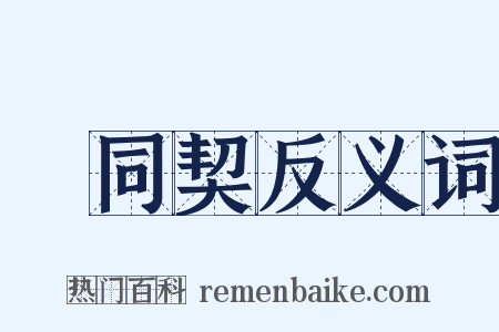 參同契反义词是什么意思的图片